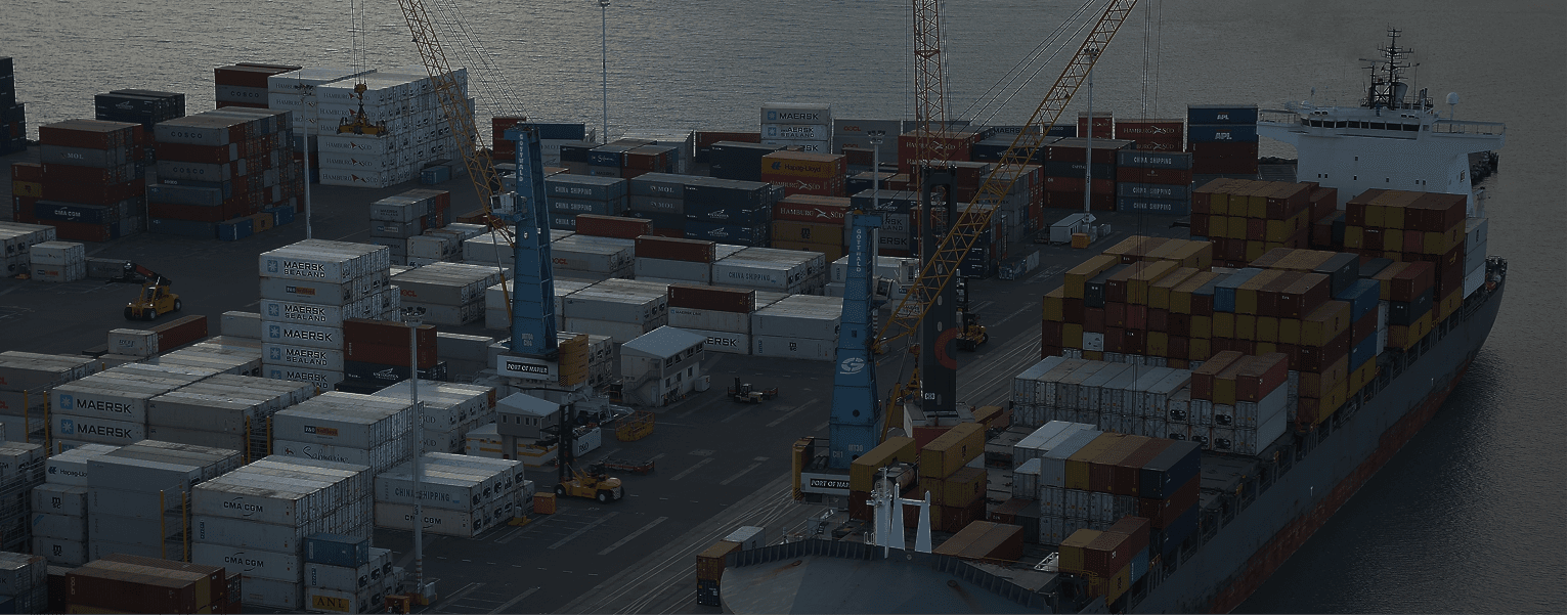 AlphaTrans Fleet